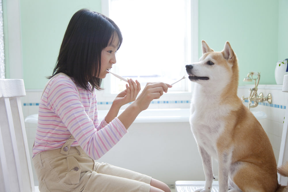 dog-breath-toothpaste-tips