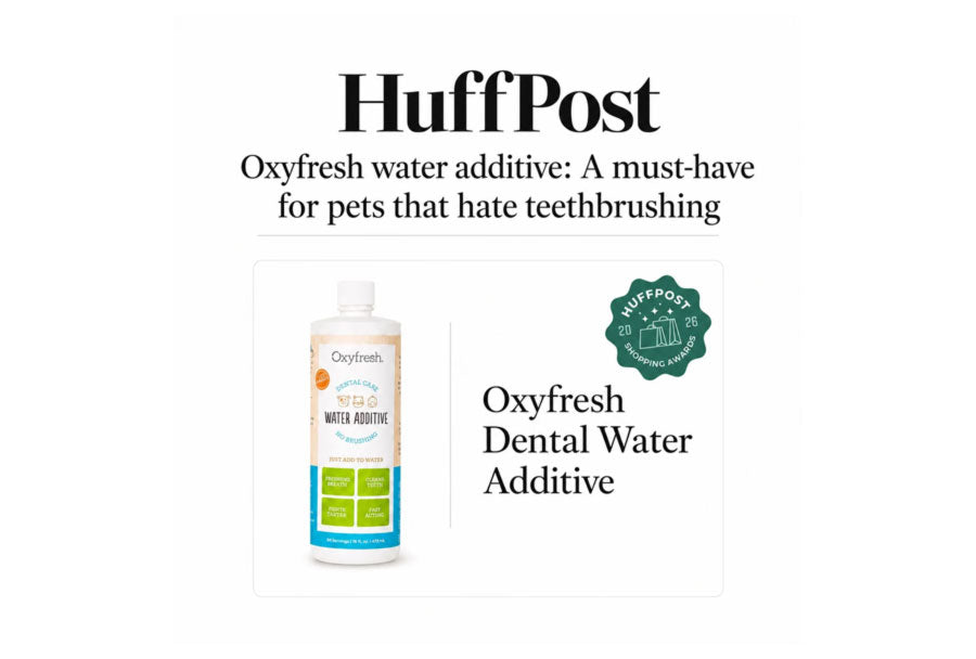 Oxyfresh Pet Water Additive: A Must-Have for Pets that Hate Teethbrushing
