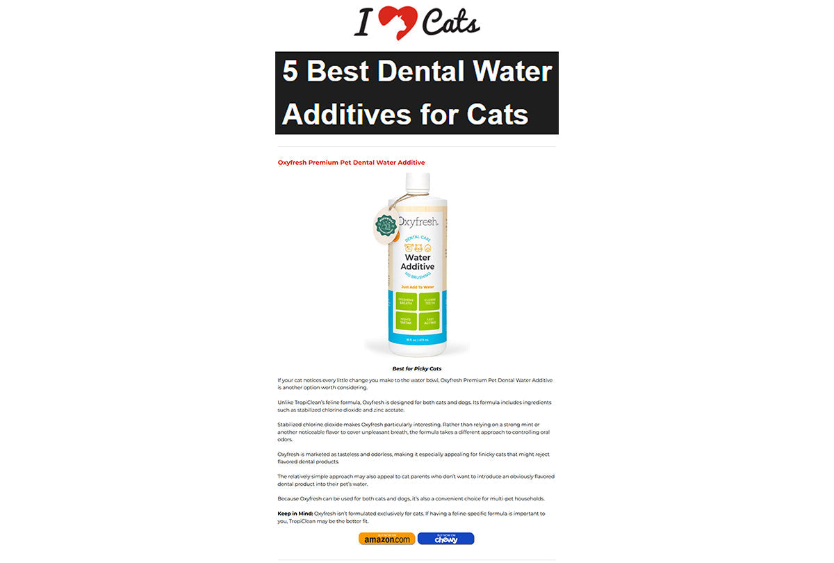 iHeartCats: "5 Best Dental Water Additives for Cats"