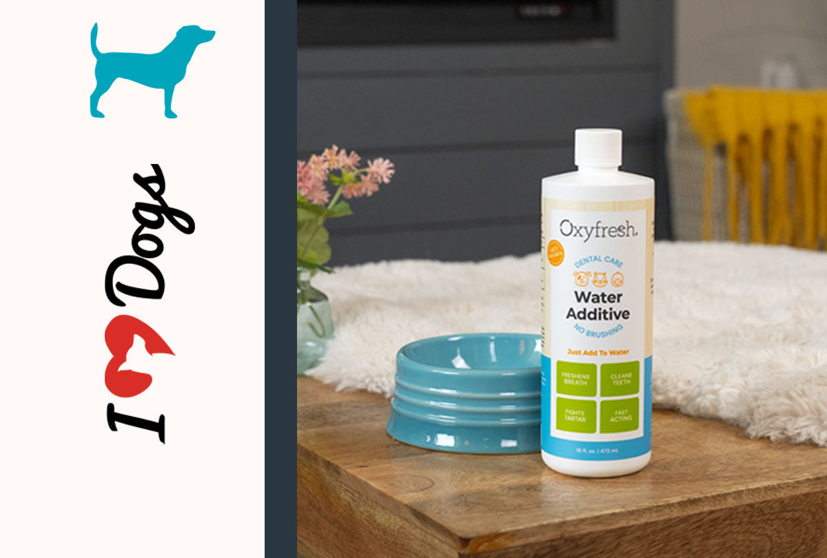 oxyfresh-featured-by-i-heart-dogs-for-oxyfresh-pet-water-additive-for-stinky-dog-breath