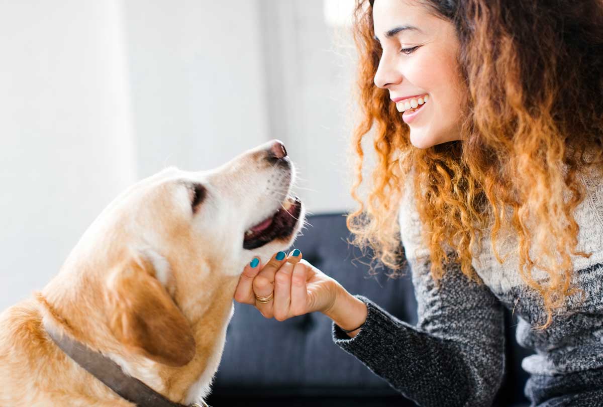 oxyfresh-pet-toothpaste-woman-and-dog-smiling-at-each-other-for-blog-post-titled-How-Often-Should-I-Brush-My-Dog-&-Cat’s-Teeth