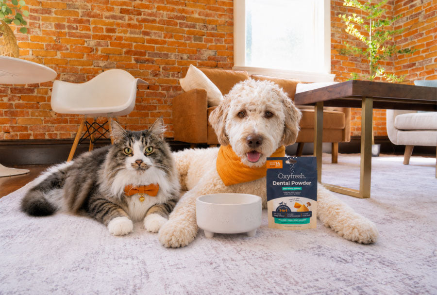 Oxyfresh Expands Leadership in Pet Dental Care