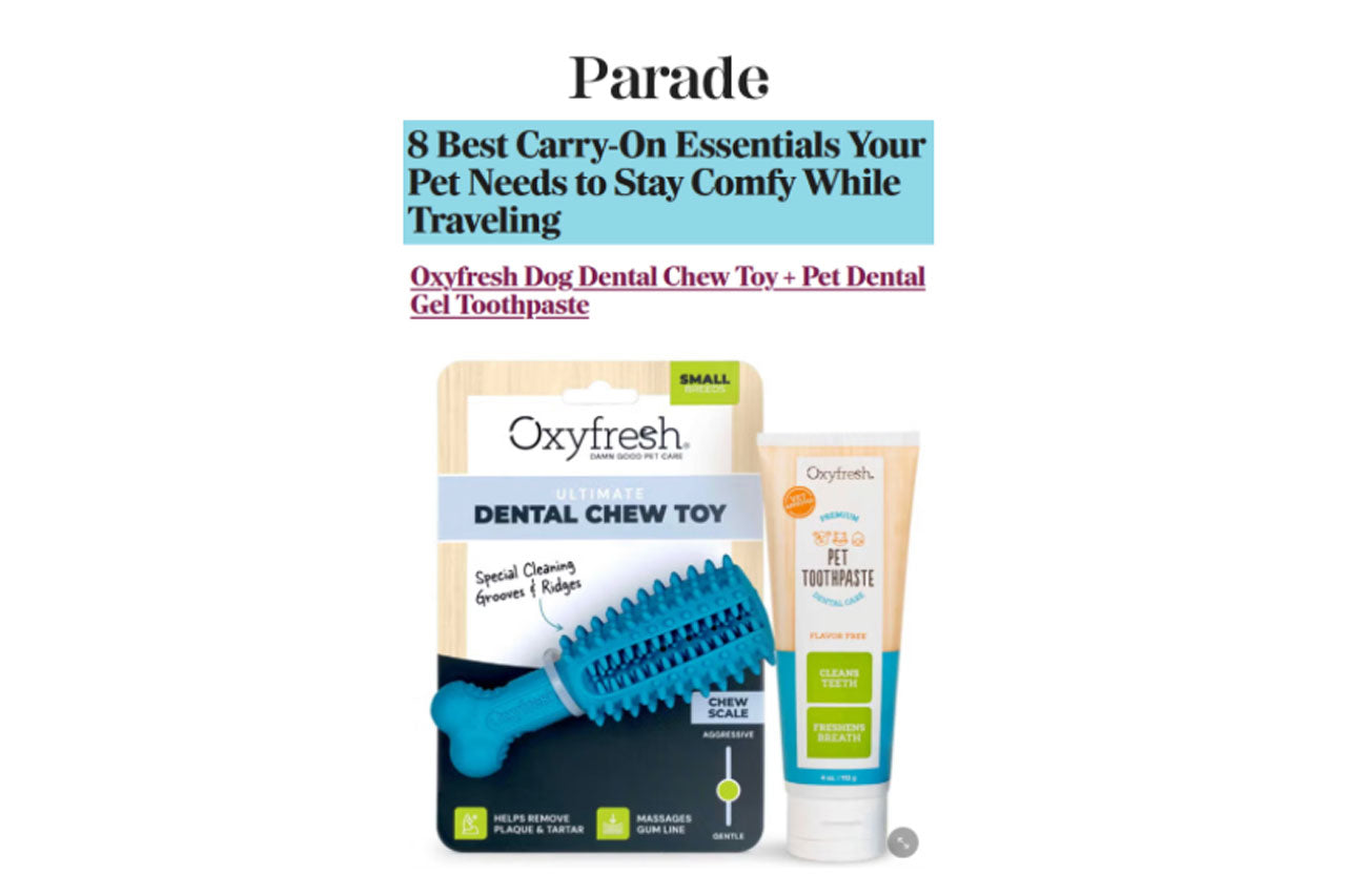 8 Best Carry-On Essentials Your Pet Needs to Stay Comfy While Traveling