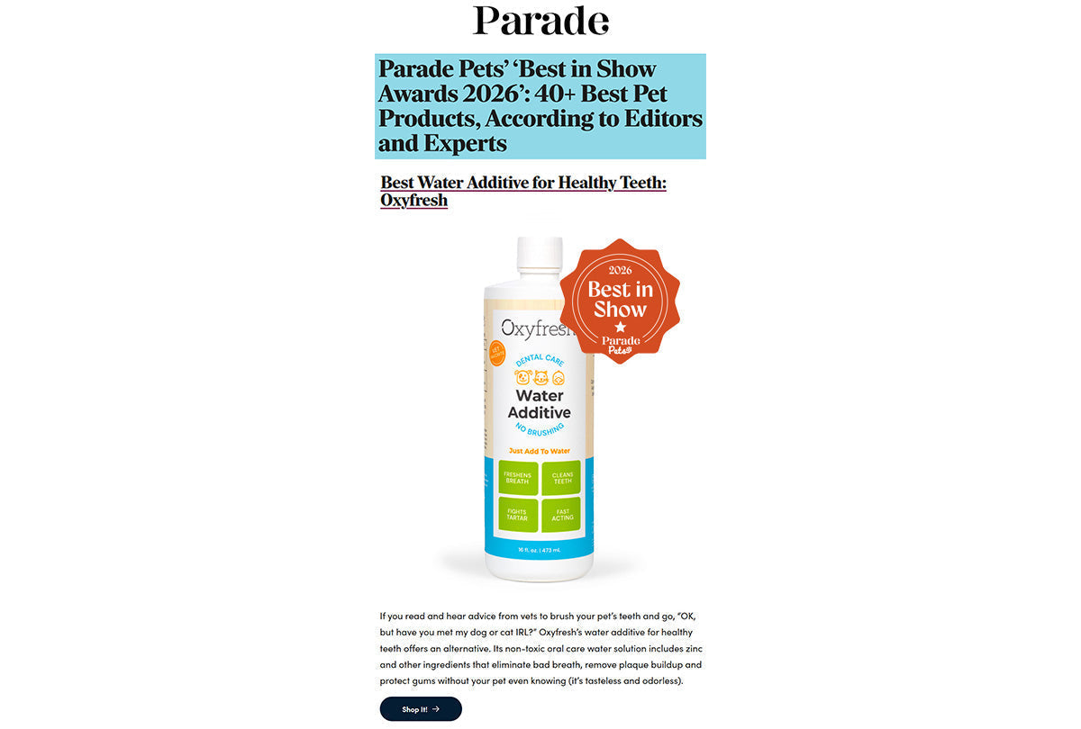 Parade: "Parade Pets' 'Best in Show Awards 2026': 40+ Best Pet Products, According to Editors and Experts"