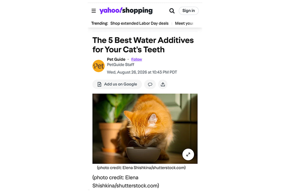 Yahoo Shopping (via PetGuide): "The 5 Best Water Additives for Your Cat's Teeth"
