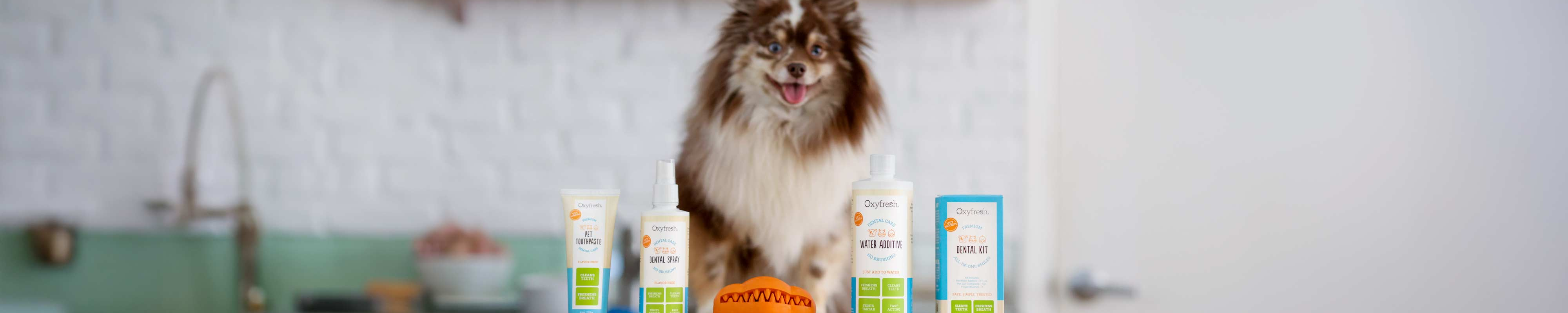 Pet Dental