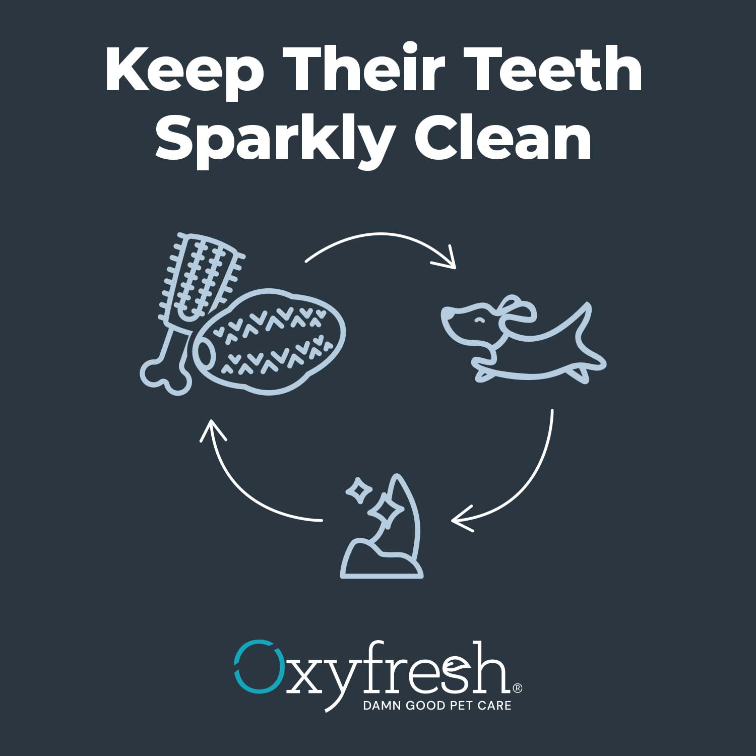 Dog Dental Chew Toy + Pet Dental Gel Toothpaste