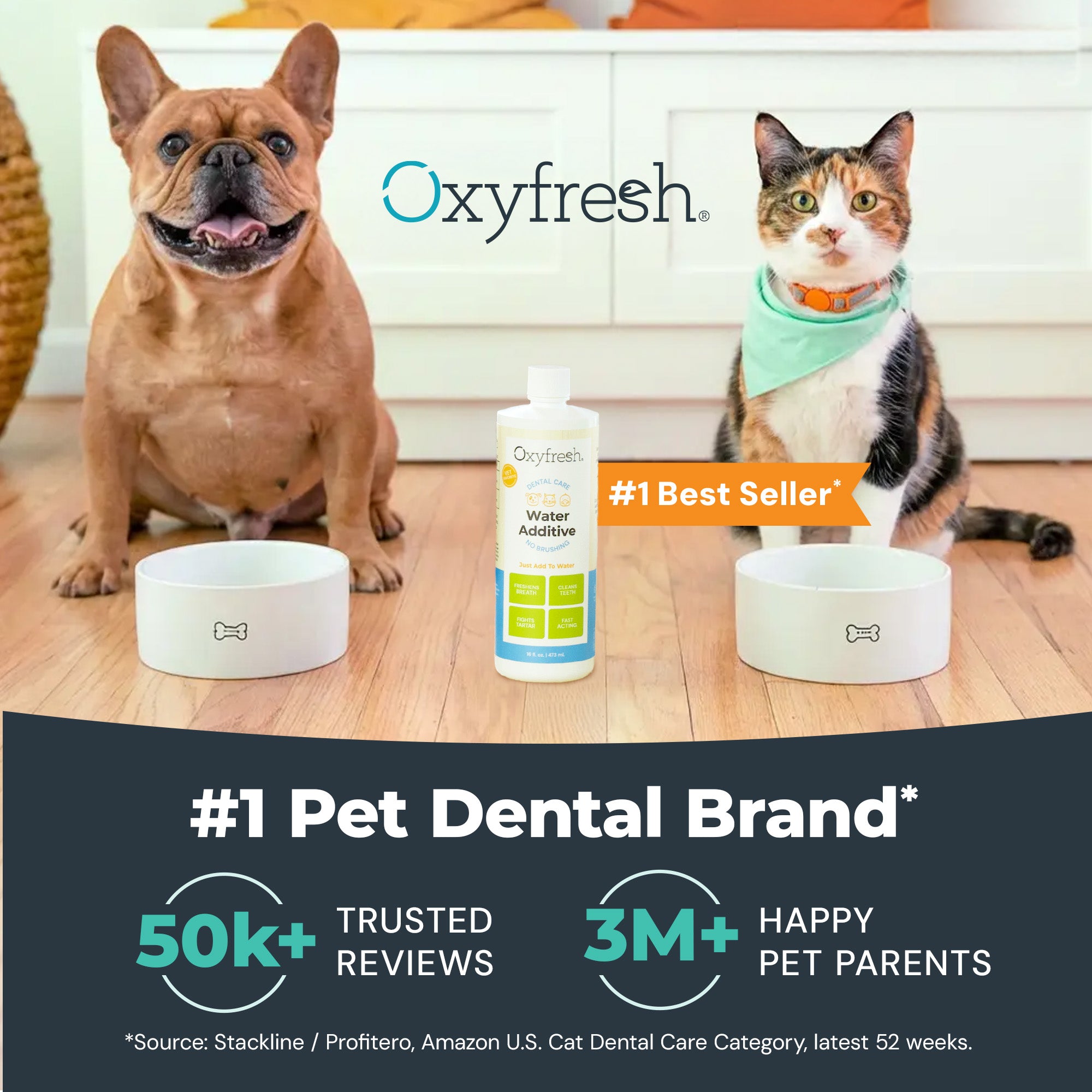 Advanced Dental Powder for Dogs & Cats ...  Fresh Breath Just in 14 Days