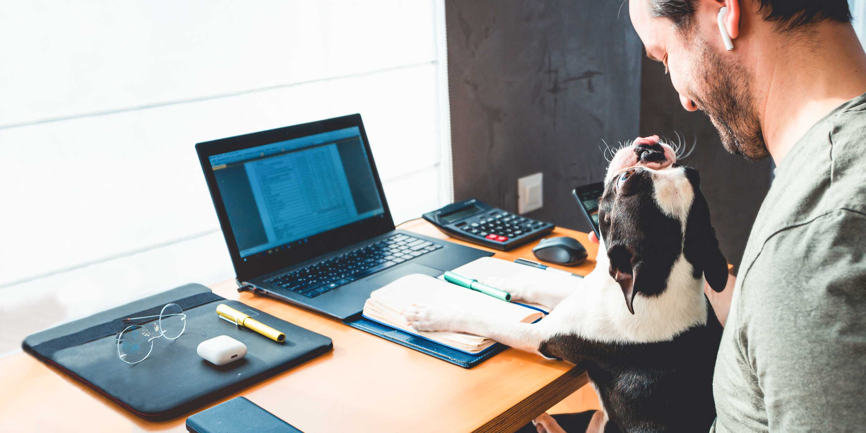 dog playfully interrupting a man's computer work