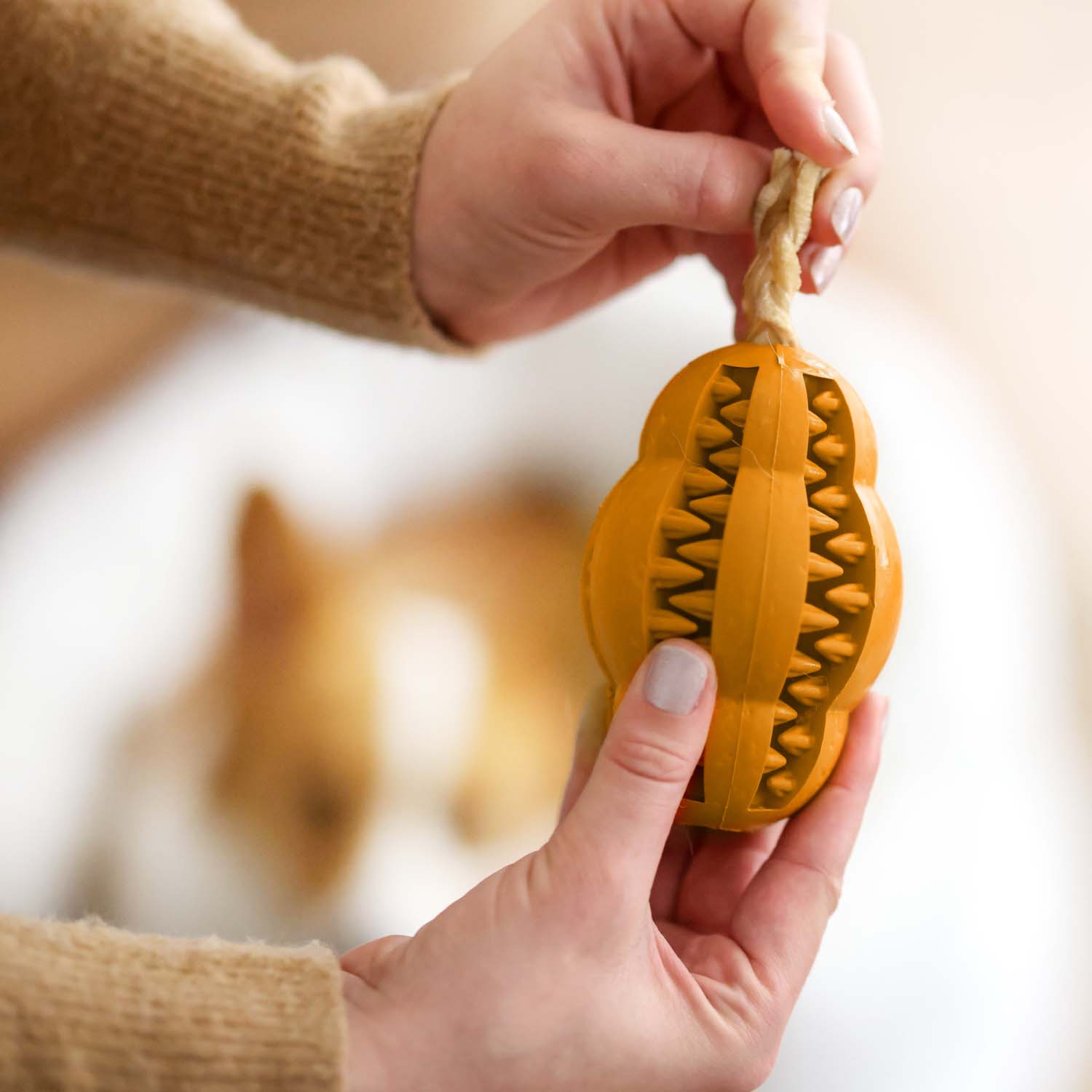 Dog Water Additive + Dog Dental Chew Toy