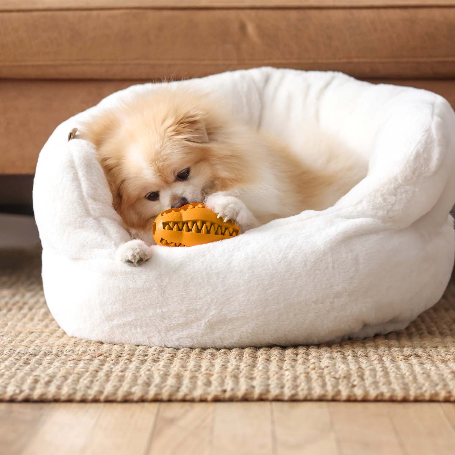 Dog Water Additive + Dog Dental Chew Toy