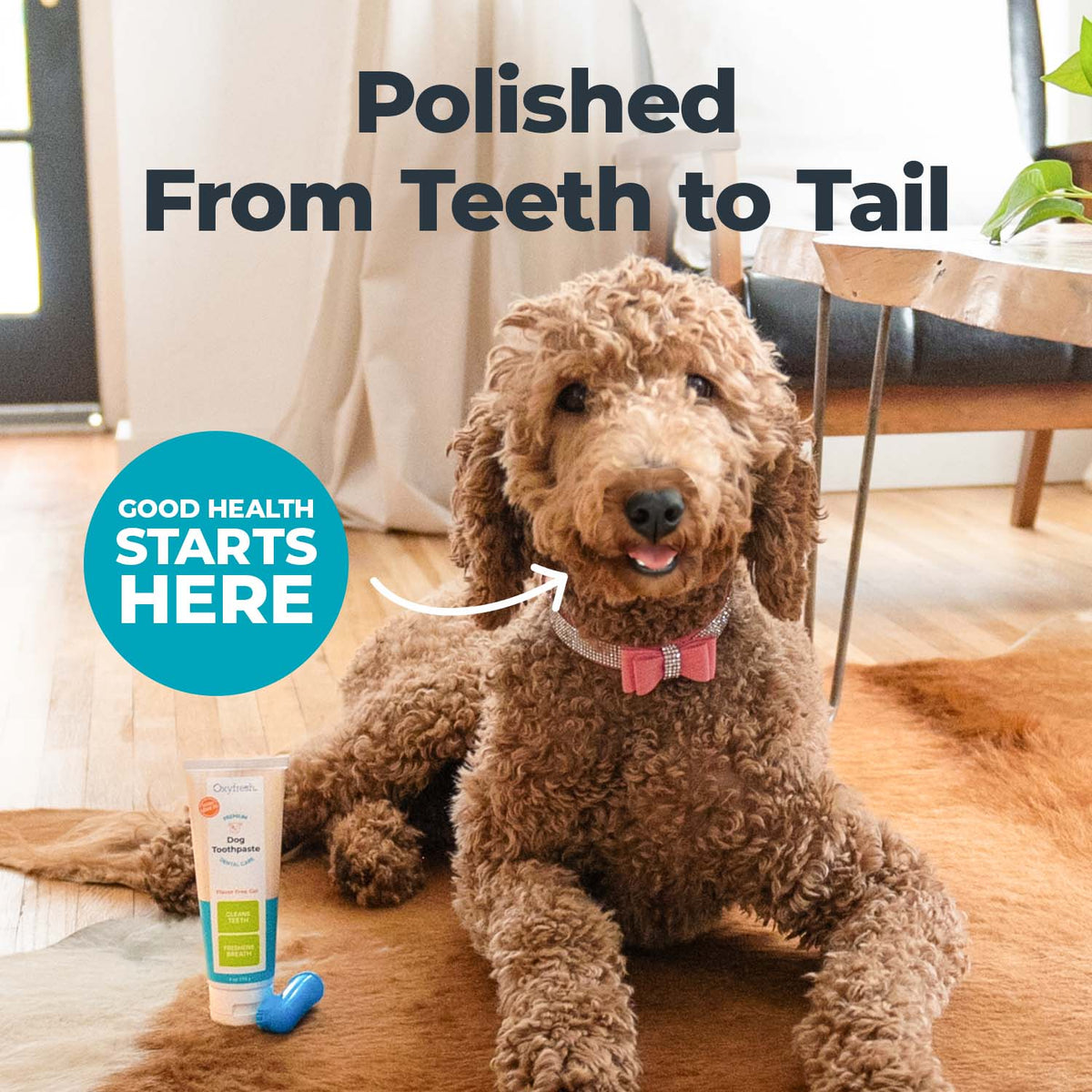 Dog Toothpaste, 4oz