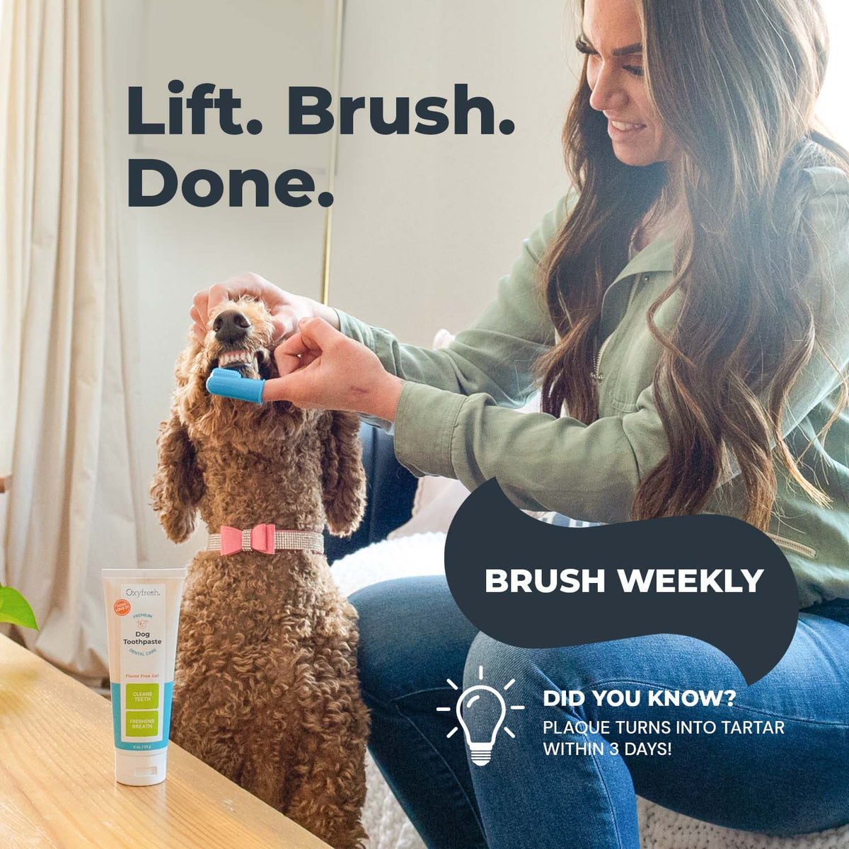 Dog Toothpaste, 4oz