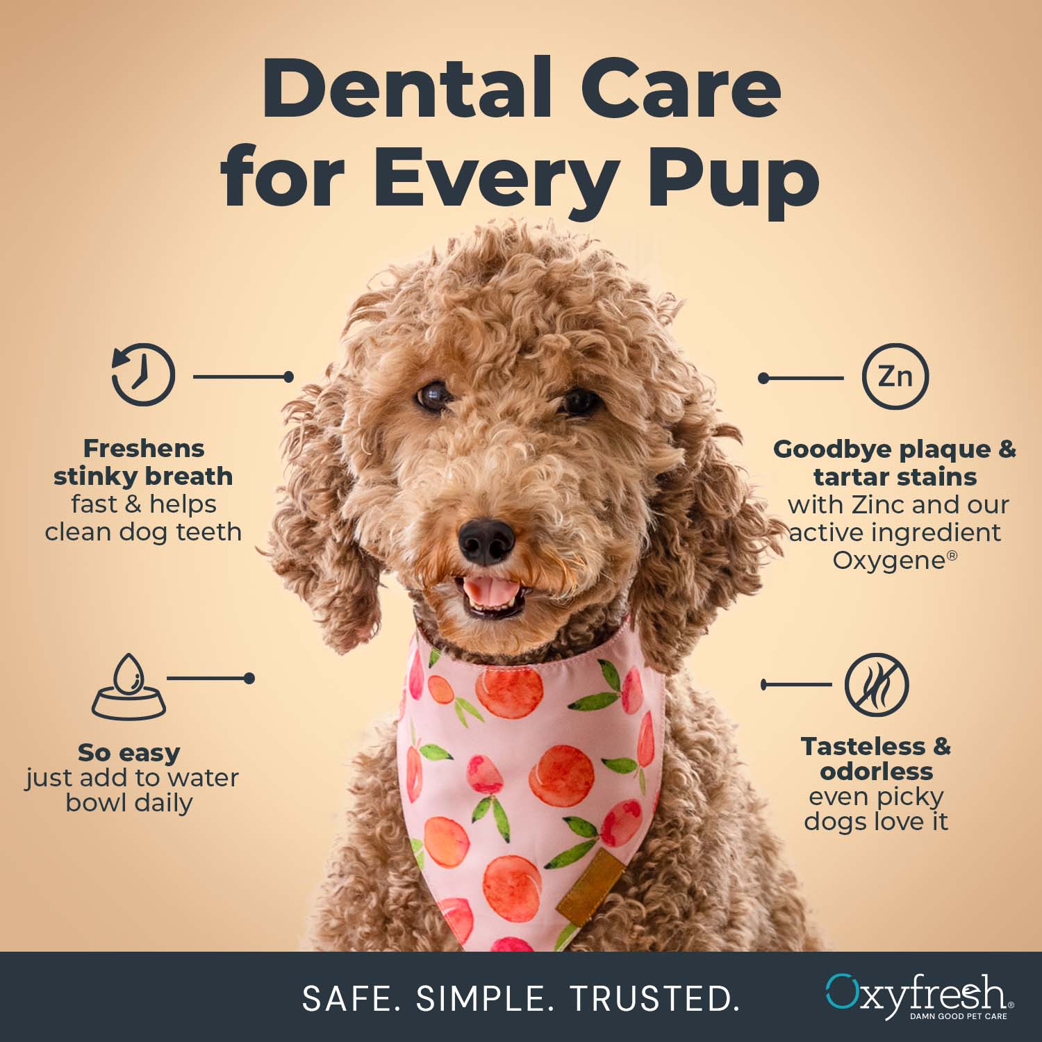 Dog Water Additive + Dog Dental Chew Toy