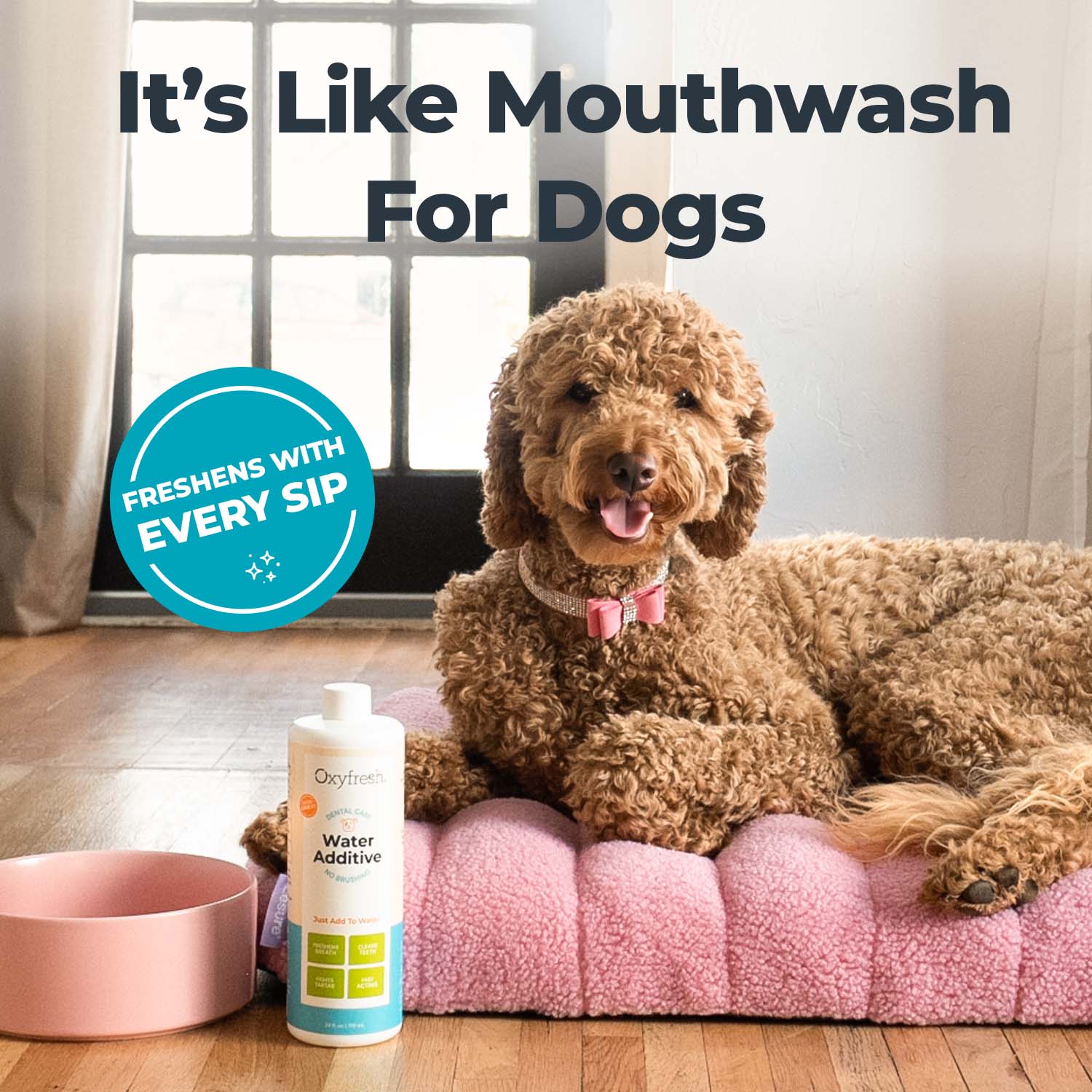 Dog Water Additive + Dog Dental Chew Toy