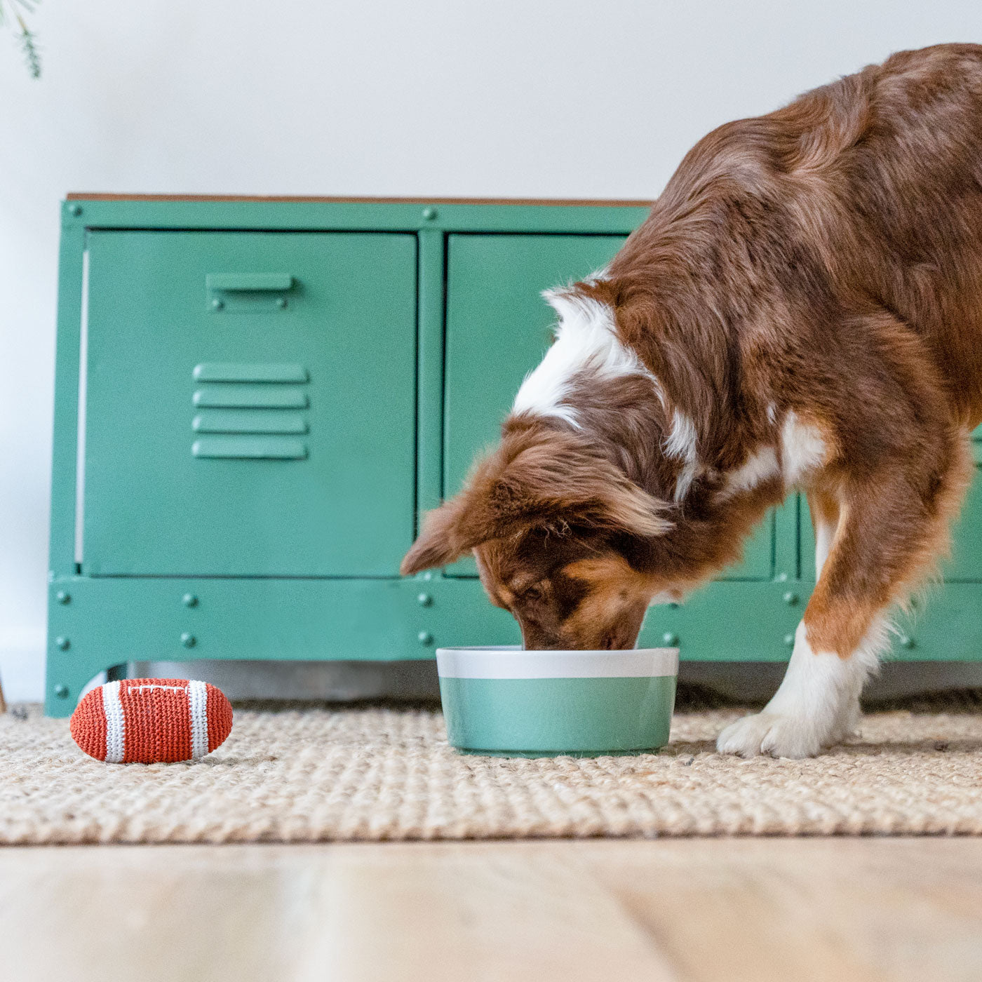 dog drinking water with oxyfresh pet water additive with oxygene the purifying chemical