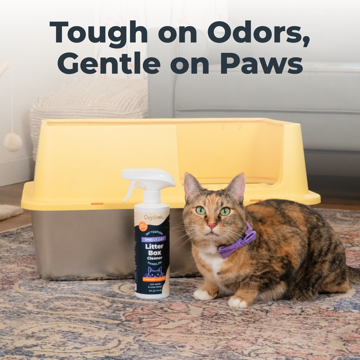 Oxyfresh Premium Litter Box Cleaner – Safely Eliminates Odors and Grime – Scrub Free