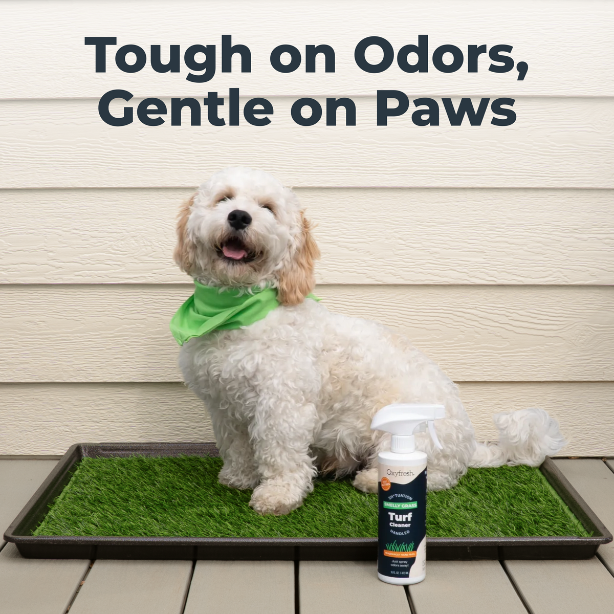 Oxyfresh Premium Turf Cleaner – Safely Eliminates Odors and Grime – Scrub Free